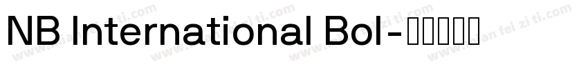 NB International Bol字体转换